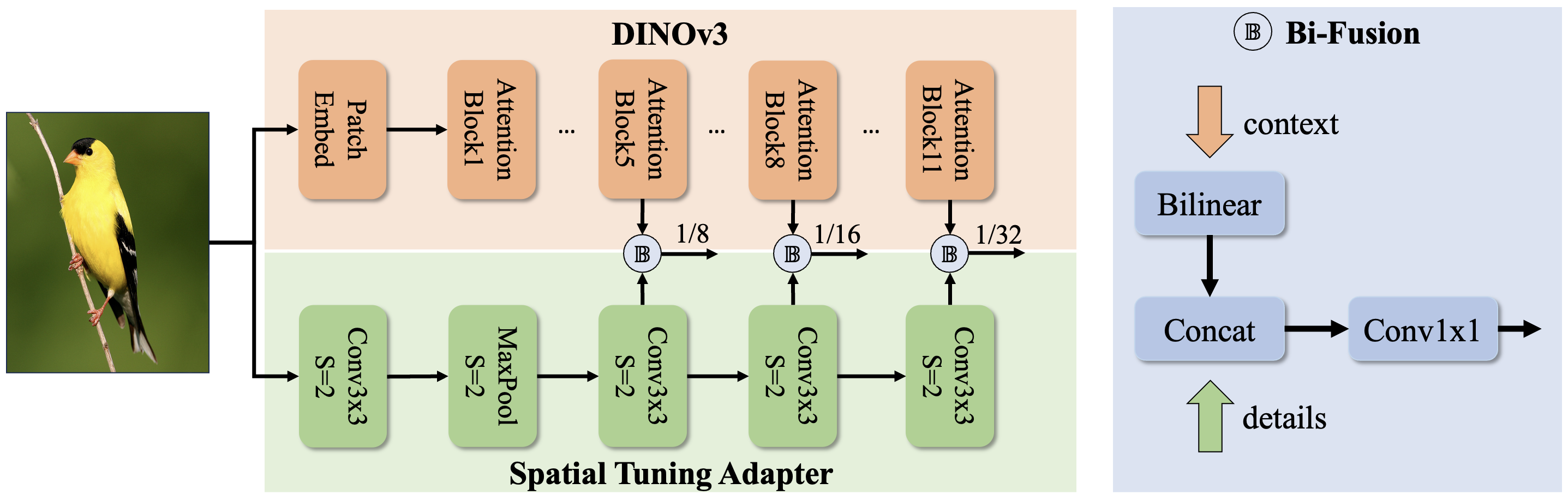 DEIMv2 STA method diagram