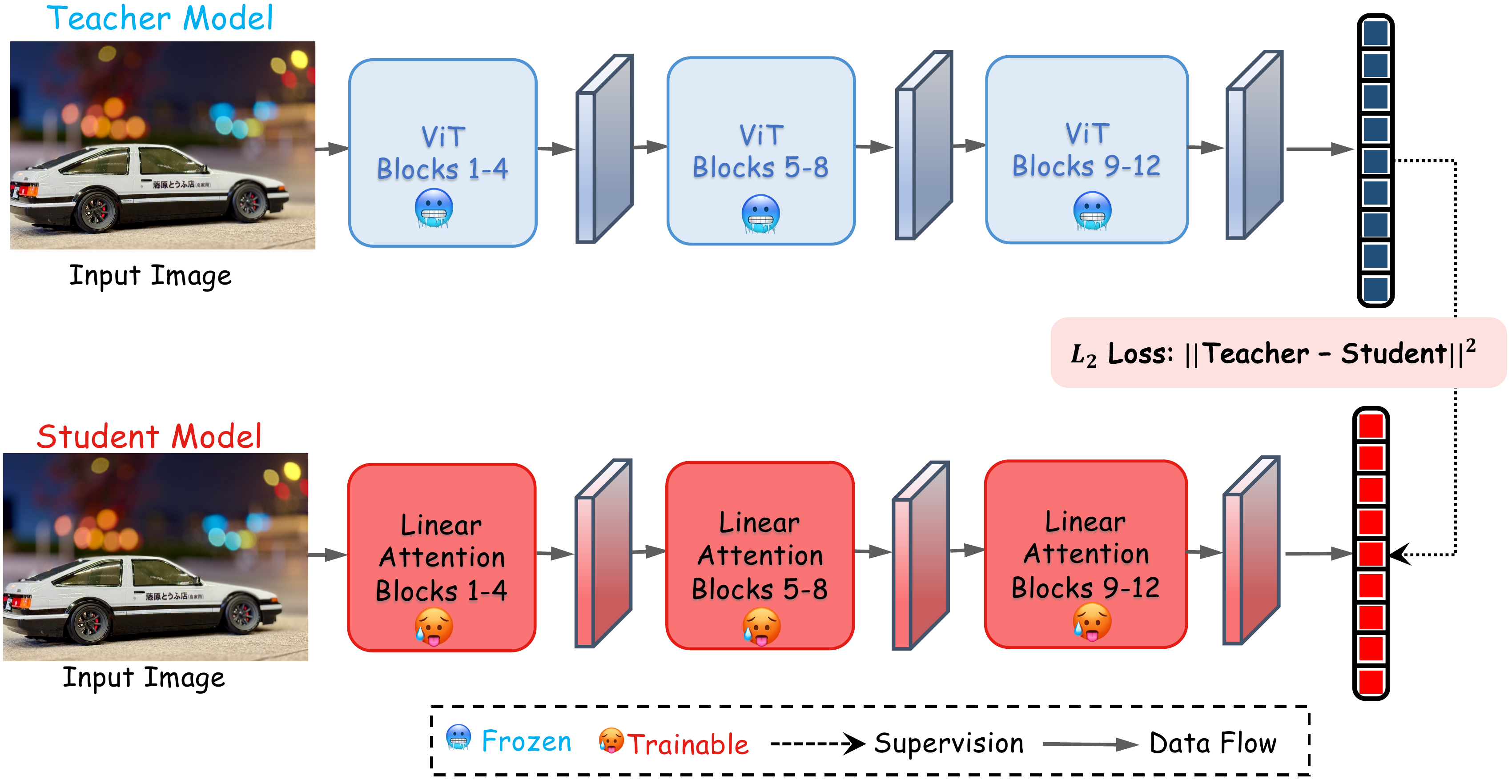 Final-output representation alignment between a frozen ViT teacher and the linear-attention student